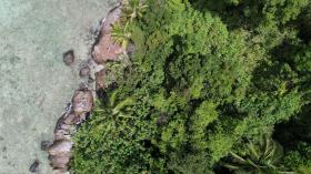 Palm lined private beach front, zoned development - elevated views and superior corals