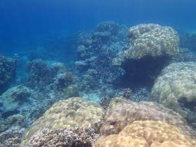 Palm lined private beach front, zoned development - elevated views and superior corals