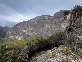 Country Land for Sale in El Jonuco