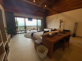 Villa in a remarkable setting with sea view