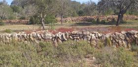 Paradisiacal rustic estate in Ibiza