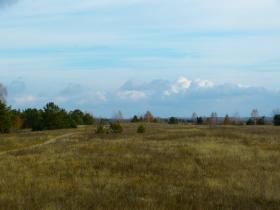 2 Adjacent Investment Land Plots near Lake Andreyevskoye 61 ha