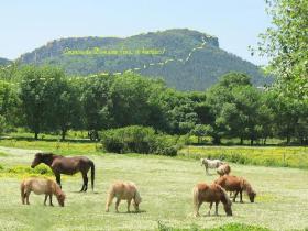 For sale mansion in the highlands of Frejus French Riviera