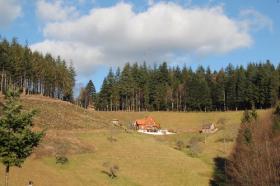 Farmhouse with forest and grassland in fantastic location of Black Forest