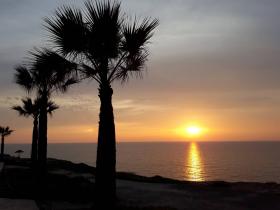 Selling one-bedroom apartment near the sea in Paphos