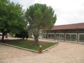 Beautiful property completely renovated with taste and quality services
