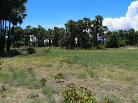 Beach front land in Sumba Est