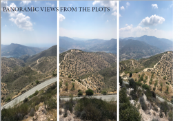 2 Plots for sale in Mathikoloni-Limassol area