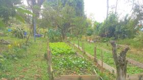 Great farm in a great climate all the year