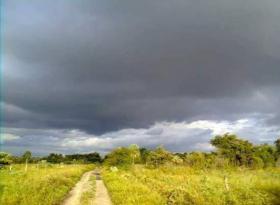 500 hectares in the immediate vicinity of the capital Asuncion, Paraguay