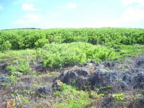 Ocean Frontage Property, Tinian, CNMI