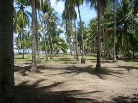 Hidden serene Beach Front and ocean view land for sale