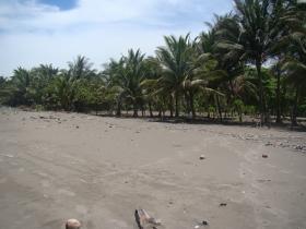 Hidden serene Beach Front and ocean view land for sale