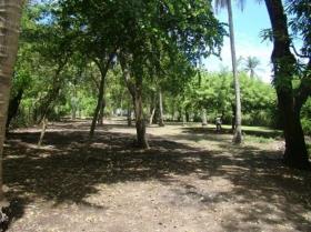 Hidden serene Beach Front and ocean view land for sale