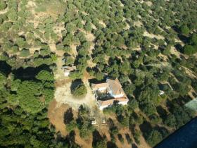 Andalusian farmhouse with 14 ha of cork oak meadow