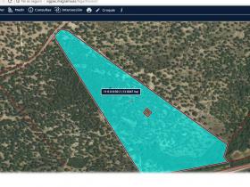 Andalusian farmhouse with 14 ha of cork oak meadow