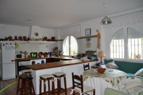 Andalusian farmhouse with 14 ha of cork oak meadow