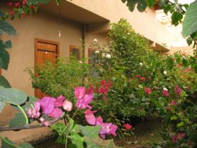 Riad - cottage, hotel for sale - excellent location