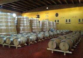 Wine estate for sale in Spain with a denomination of origin D.O. La Mancha