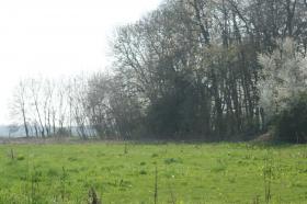 Rural property 80 km from Paris on a plot of 4.7 ha