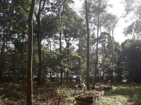 Rural property 80 km from Paris on a plot of 4.7 ha
