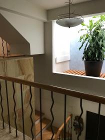 Apartment near Coyoacan historic center with a full green view