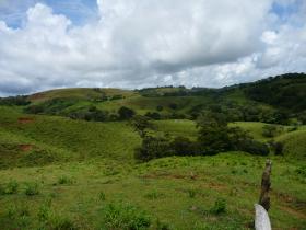 For sale 84 ha of building land with real estate project