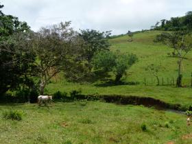 For sale 84 ha of building land with real estate project
