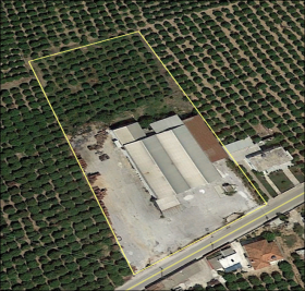 Land with fruit processing factory