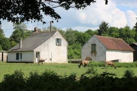 Sell 72 hectares of closed forests with 2 houses, 1 tack room, 2 hangars and 8 horse boxes