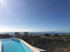 Luxury Villa near Playa Paraiso