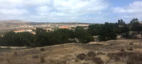 For sale land 890 m2 in Porto Santo Island